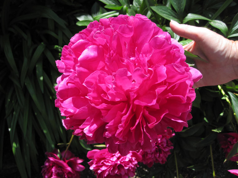 Image 019
