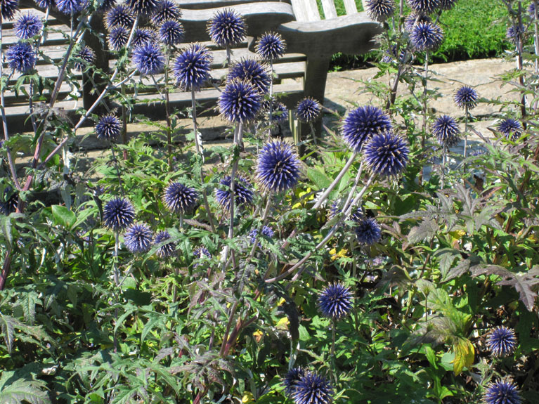 Image 011