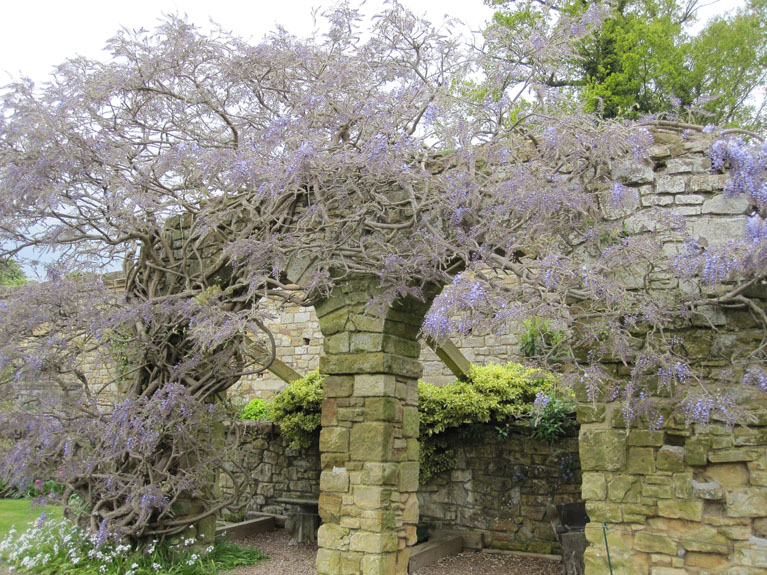 Image 015
