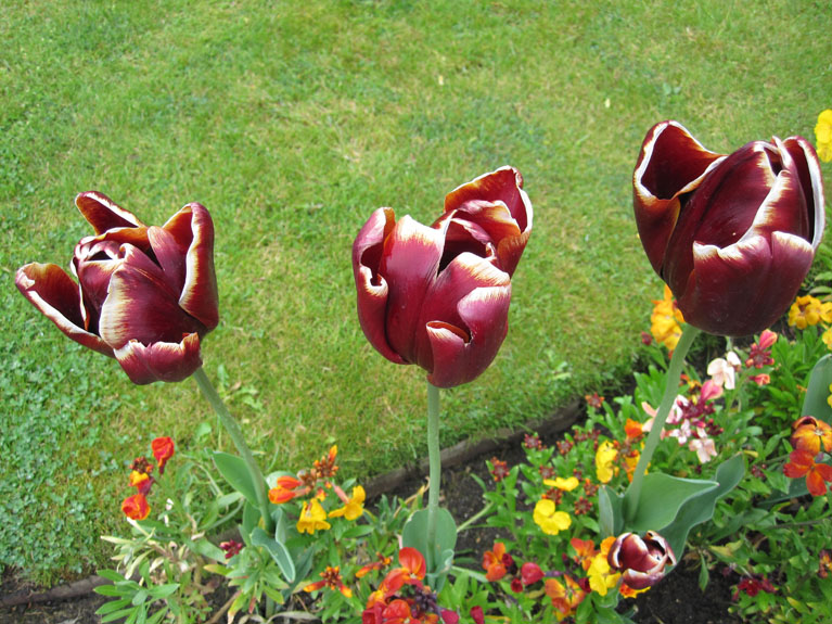 Image 019