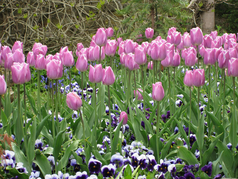 Image 020