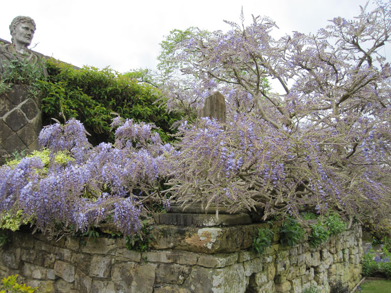 Image 027