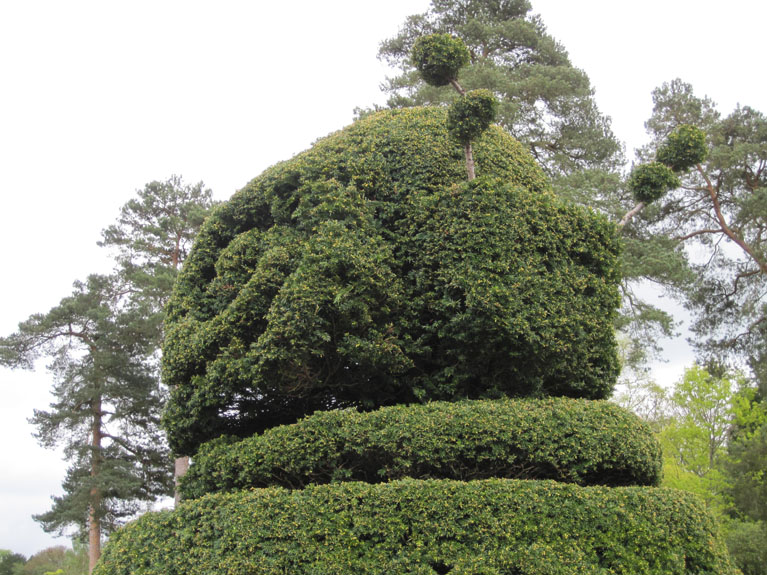 Image 034