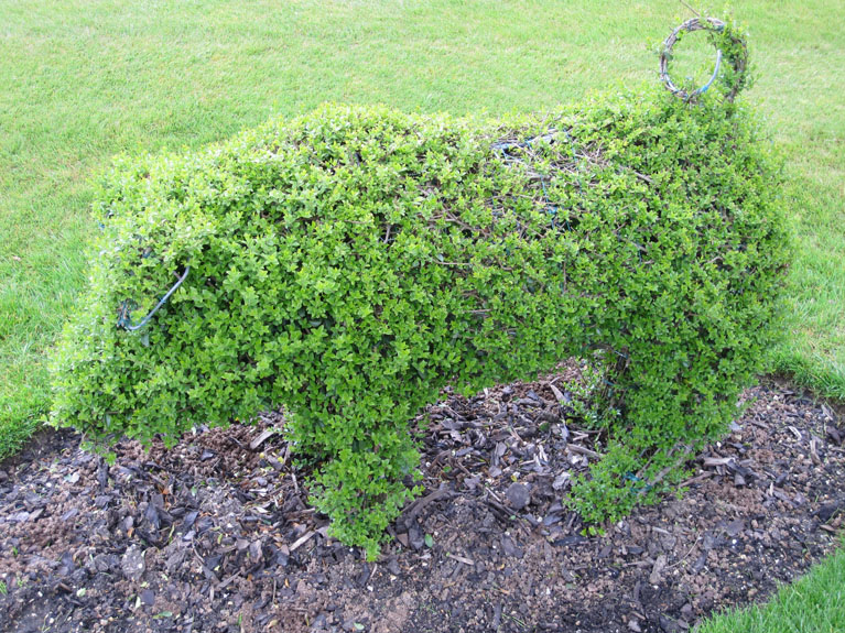 Image 038