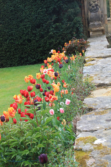 Image 058