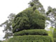 Image 034
