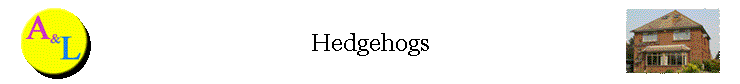 Hedgehogs