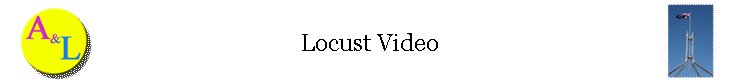 Locust Video